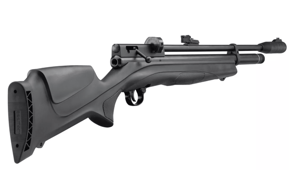 Rifle Beeman Chief 2s + Poston / Hiking Outdoor - hiking outdoor Chile - Rifle Beeman Chief 2s + Poston / Hiking Outdoor - hiking outdoor Chile - 